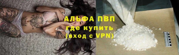 прущие крисы Медвежьегорск