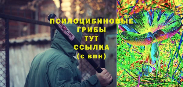 твердый Медногорск