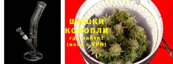 твердый Медногорск
