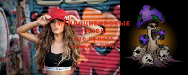 прущие крисы Медвежьегорск