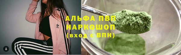 ГАЛЛЮЦИНОГЕННЫЕ ГРИБЫ Алагир