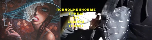 прущие крисы Медвежьегорск