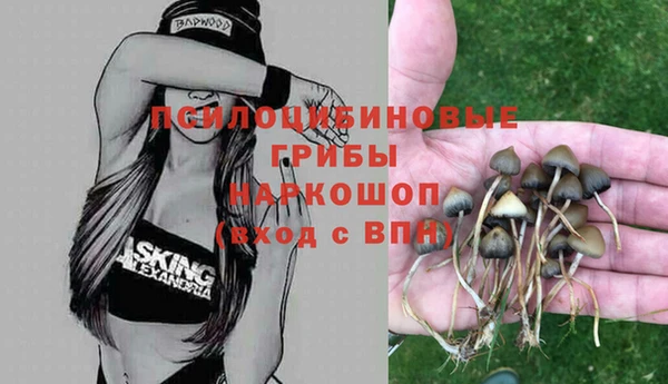 твердый Медногорск