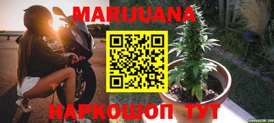 индика Гай