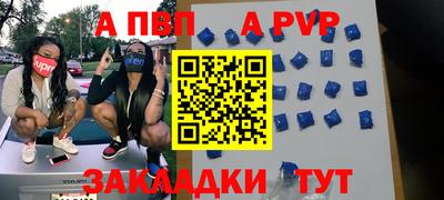 индика Гай
