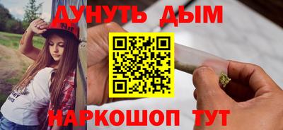 индика Гай