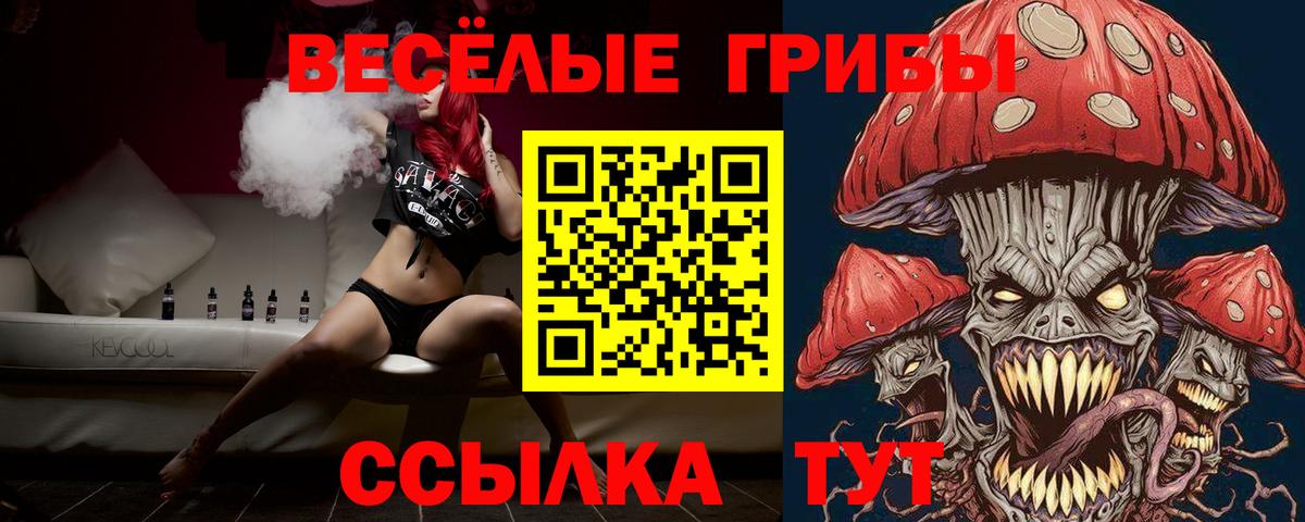 Псилоцибиновые грибы Psilocybe  Иваново  Галлюциногенные грибы GOLDEN TEACHER 