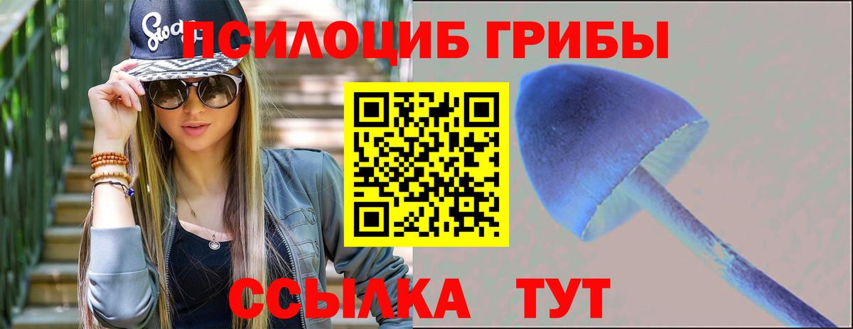 Псилоцибиновые грибы Psilocybe Иваново